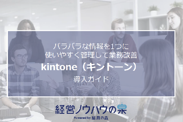 【中小企業・中堅企業向け】どんな業種にもカスタマイズ可能！業務効率化サービス「kintone」導入ガイド